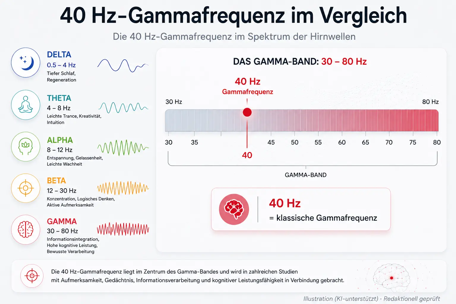 Gammafrequenz im Vergleich