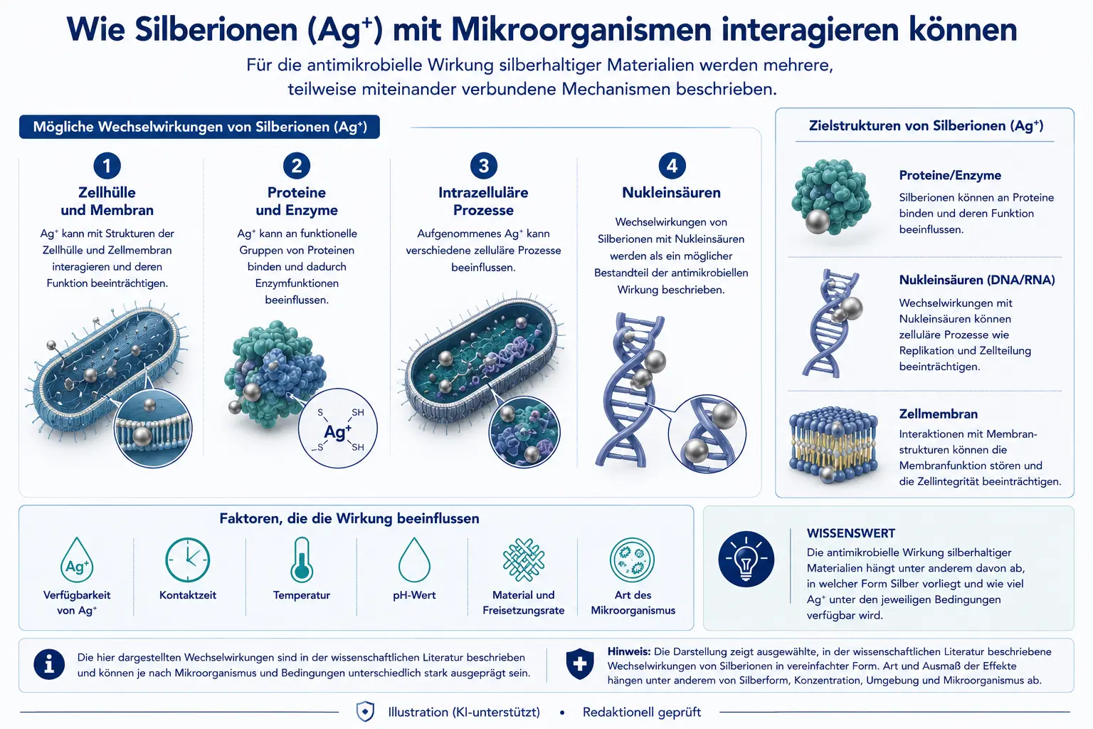 Schaubild Silberionen agieren mit Mikroorganismen