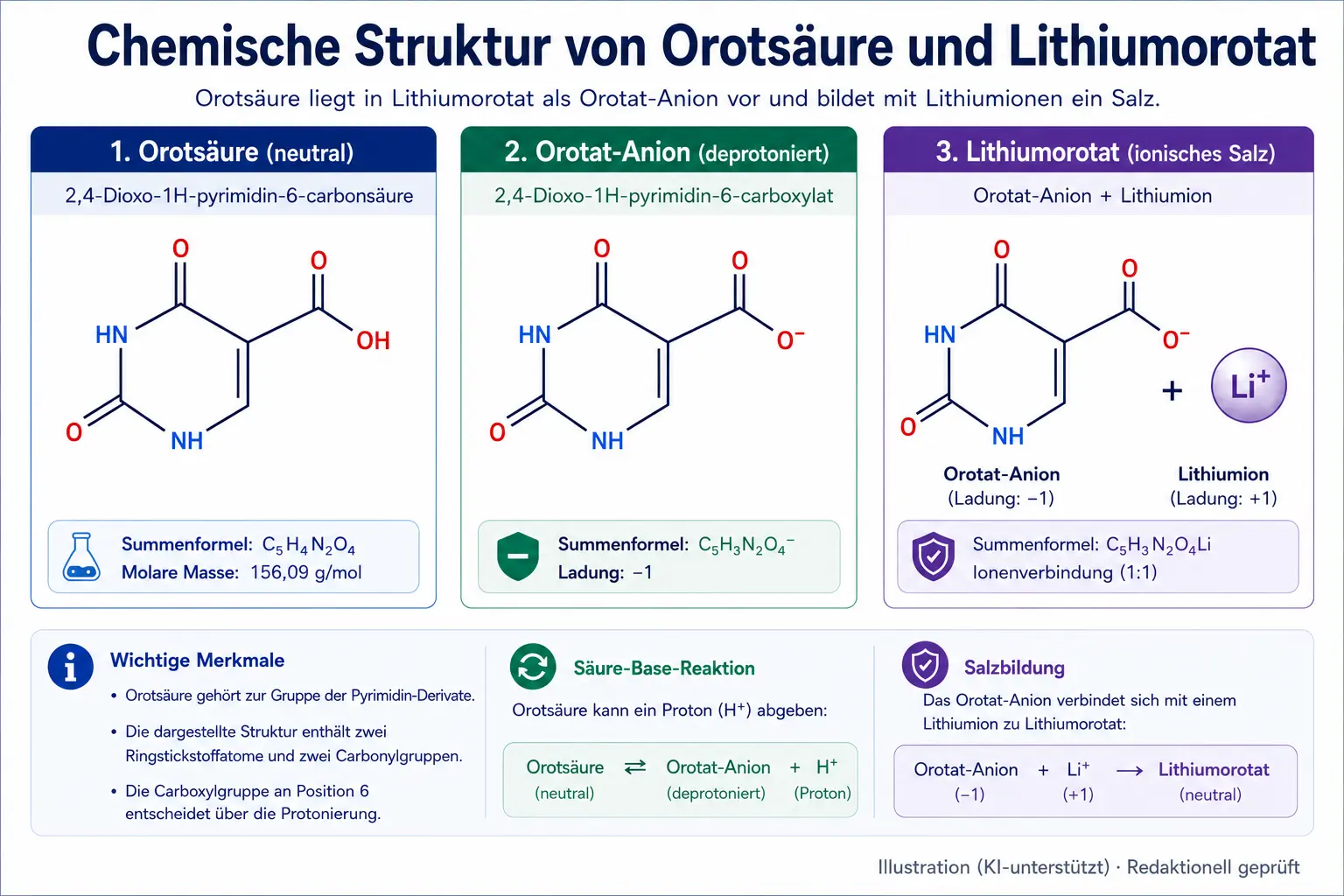 Chemische Struktur von Orotsäure und Lithiumorotat